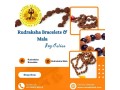 rudraksha-bracelets-rudraksha-mala-rudra-kailash-small-0