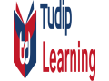 learn-python-programming-for-beginners-at-tudip-learning-small-0