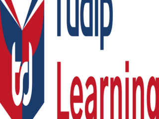 Learn Python Programming for Beginners at Tudip Learning