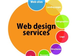 Web Design and Development Services | WEB NEEDS