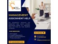 professional-management-assignment-help-your-key-to-academic-excellence-small-0