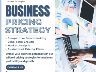 Business pricing strategies service