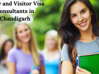 Study Visa Consultants in Chandigarh