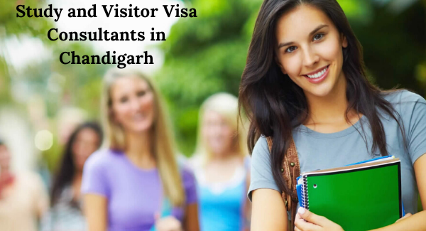 study-visa-consultants-in-chandigarh-big-0