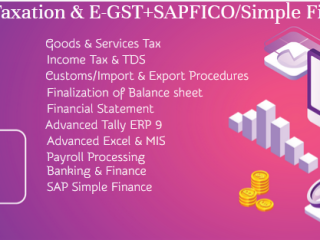 Best Accounting Course in Delhi, "Learn Direct Tax Code 2025" 110059, SLA Accounting Institute, SAP FICO and ERP Tally Prime Institute in Delhi,