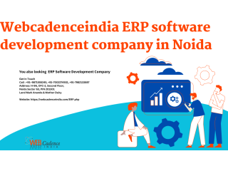 Erp software development company in noida