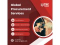 global-software-procurement-services-with-tectigers-small-0