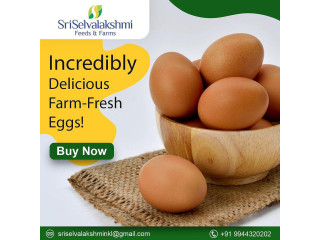 Egg Wholesale Price in Namakkal | Sri selvalakshmi Feeds & Farms