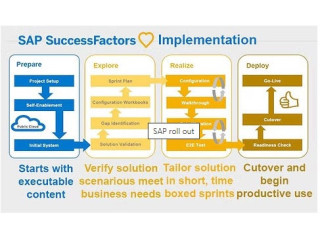 SAP Roll Out Services