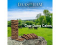 cow-dung-deepam-small-0
