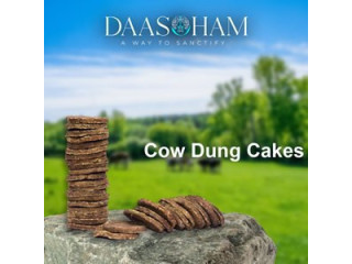 Cow Dung Deepam