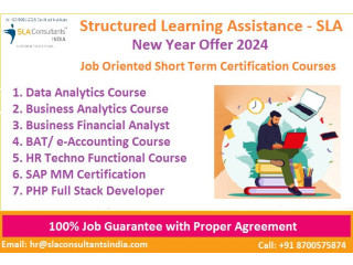 Business Analytics Certification Course in Delhi, SLA Courses, Nangloi, [100% Job, Update New Skill in 2024] get Accenture Certification ,
