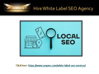 Hire a Trusted White Label SEO Agency Zeqons