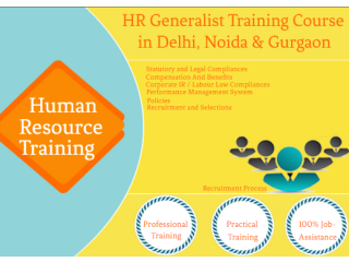 Best HR Institute in Delhi, Punjabi Bagh, Free SAP HCM & HR Analytics Training, 100% Job Placement, Navratri Offer '23