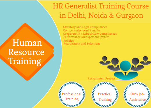 best-hr-institute-in-delhi-punjabi-bagh-free-sap-hcm-hr-analytics-training-100-job-placement-navratri-offer-23-big-0