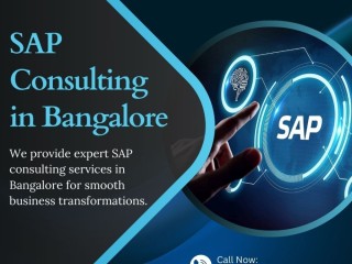 SAP Consulting in Bangalore | Peol Solutions