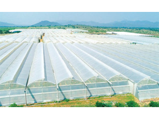 Greenhousefirm | Singhal industries
