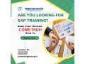 best-sap-training-institute-in-pune-placement-erp-training-sap-course-in-pune-small-0