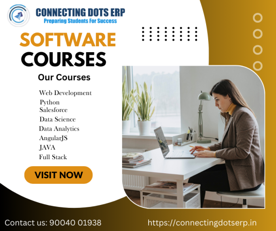 sap-training-institute-sap-course-in-raipur-software-testing-data-science-hr-courses-in-raipur-connecting-dots-erp-big-2