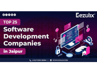 Custom Software and Website Development Company