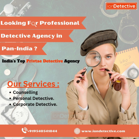 the-art-of-discretion-private-detective-services-by-ion-big-0