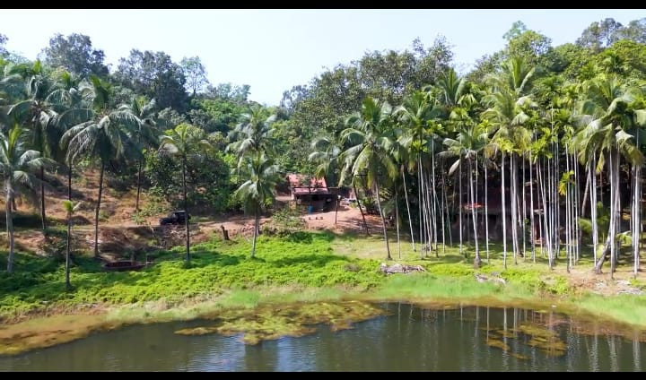 lake-side-living-residential-plot-in-kudal-maharashtra-big-2