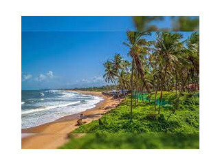 Experience Paradise: Goa Tour Packages for Every Traveler's Dream!