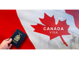 Unlocking New Horizons: The Elation Visa for Canada, Australia, and Germany
