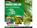 agriculture-farm-land-for-sale-knox-groups-in-bangalore-small-1