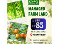 agriculture-farm-land-for-sale-knox-groups-in-bangalore-small-0