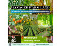 agriculture-farm-land-for-sale-knox-groups-in-bangalore-small-3