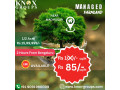 agriculture-farm-land-for-sale-knox-groups-in-bangalore-small-2