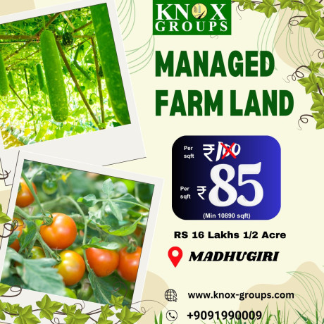 agriculture-farm-land-for-sale-knox-groups-in-bangalore-big-0