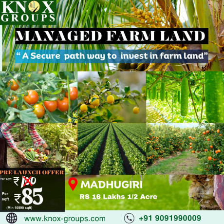 agriculture-farm-land-for-sale-knox-groups-in-bangalore-big-3