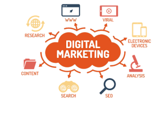 Top Digital Marketing Agency in Noida | Call 9289247900