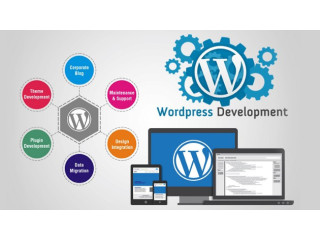 Website designing and development company in Chandigarh