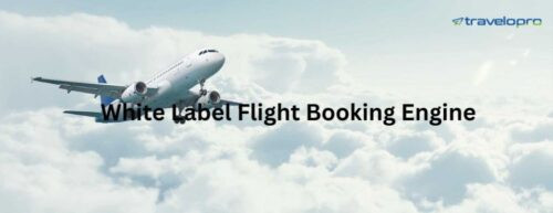 white-label-flight-booking-engine-big-0