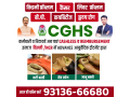 ayurvedic-doctors-for-spine-pain-in-shastri-nagar-small-1