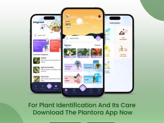 A Plant Identifier and Plant Care App with Plant Care Guides.