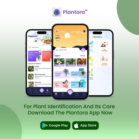 a-plant-identifier-and-plant-care-app-with-plant-care-guides-big-0