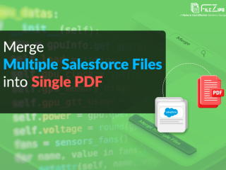 Merge Salesforce Files to one Single PDF