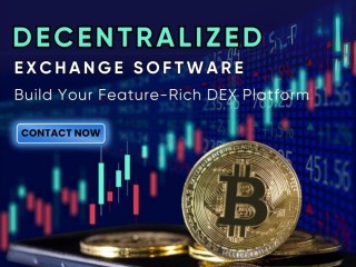 Build your decentralized exchange with our advanced DEX software