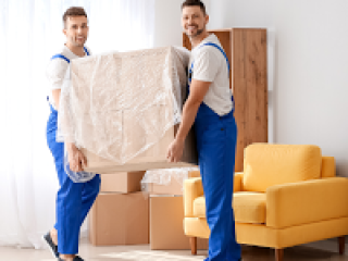 Man with a Van Auckland: Reliable Moving Made Simple