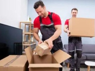 Expert Office Removalists in Auckland | Smooth Business Relocations