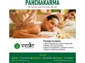 panchakarma-therapy-and-ayurvedic-wellness-retreats-small-0