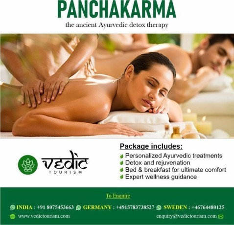 panchakarma-therapy-and-ayurvedic-wellness-retreats-big-0