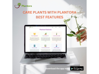 Best Free Plant Care And Plant Identifier App-Plantora