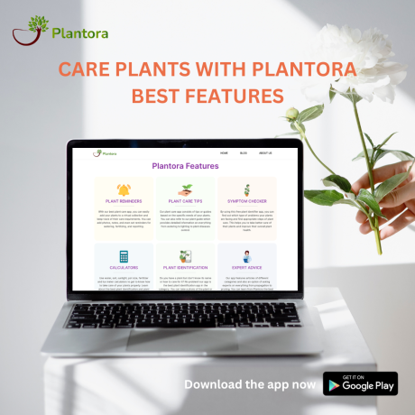 best-free-plant-care-and-plant-identifier-app-plantora-big-0