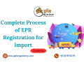 complete-process-of-epr-registration-for-import-small-0