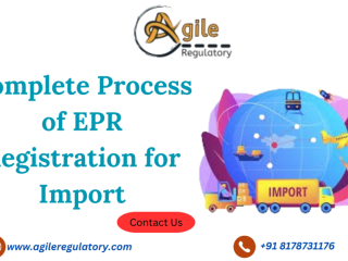 Complete Process of EPR Registration for Import